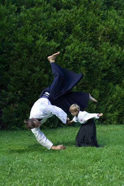 Kibudo Aikido