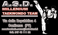 Millennium Taekwondo Team