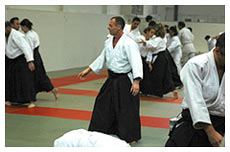 AikiDomus