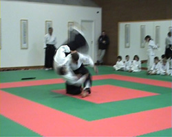 Ju Jutsu Ricci Ryu