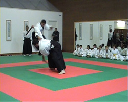 Ju Jutsu Ricci Ryu