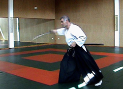 Iaido