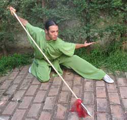 Accademia Nazionale Italiana Wushu Kung Fu