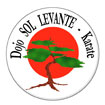Dojo Sol Levante Karate