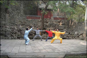 Tai Chi Taijiquan