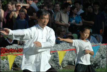 Taijiquan Tai Chi